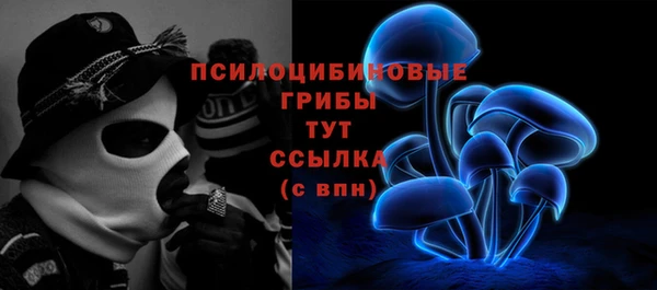стафф Верея