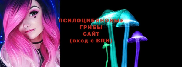 стафф Верея