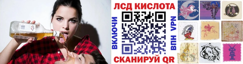 купить наркоту  даркнет как зайти  Наркотические марки 1,8мг  Гай 
